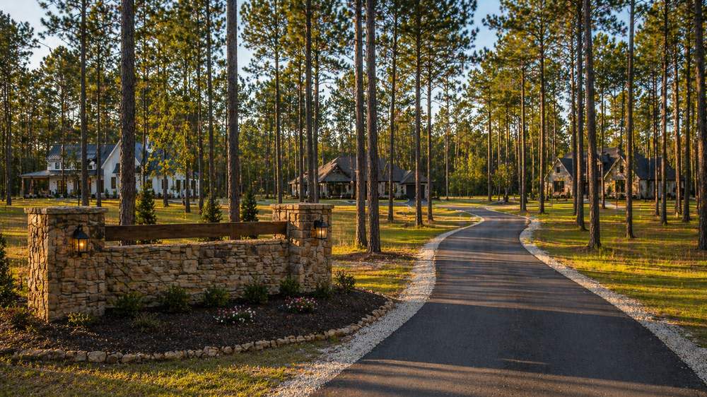 Paved country road winding through a deed-restricted rural East Texas subdivision with tall loblolly pines and custom homes on 1+ acre lots
